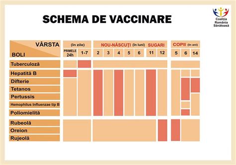 primele vaccinuri la purcei|Schema națională de vaccinare în 2020: Ce vaccinuri recomandă ...